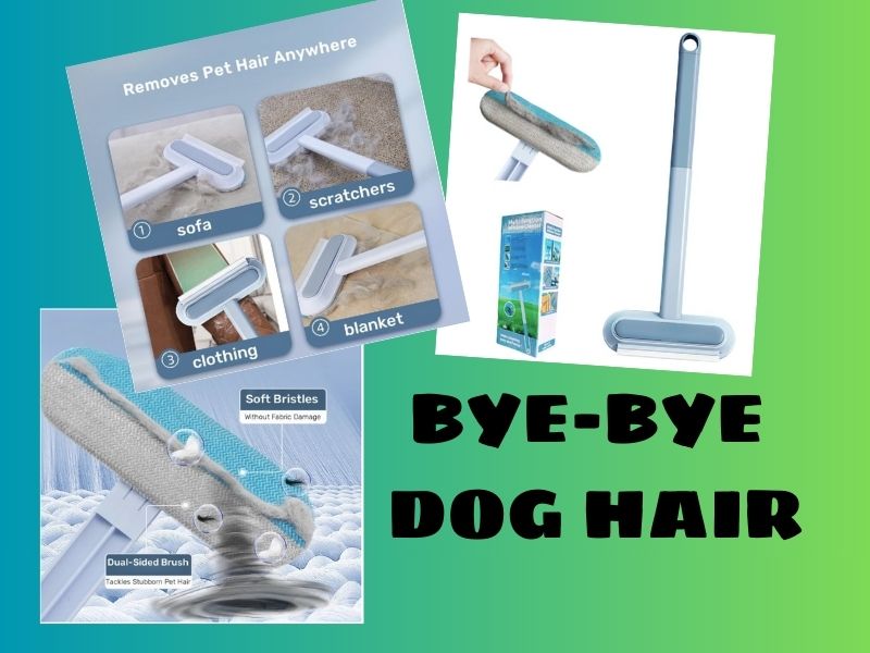 Pet Hair Tool that Saved my&nbsp;Sanity